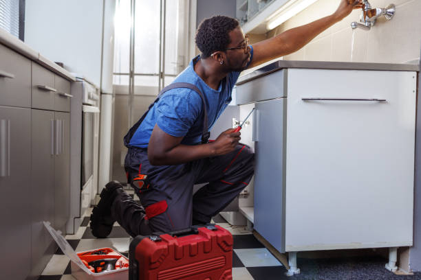 Best Faucet Repair  in Knob Noster, MO
